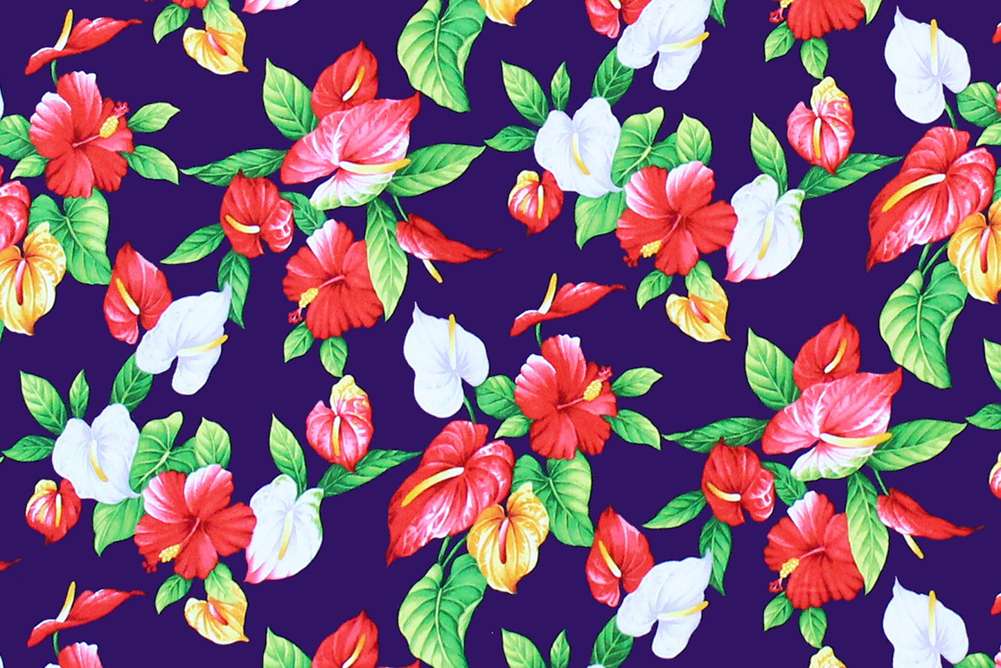 CAA1237 Purple