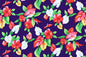 CAA1237 Purple