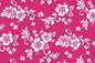 CAA1256 Pink