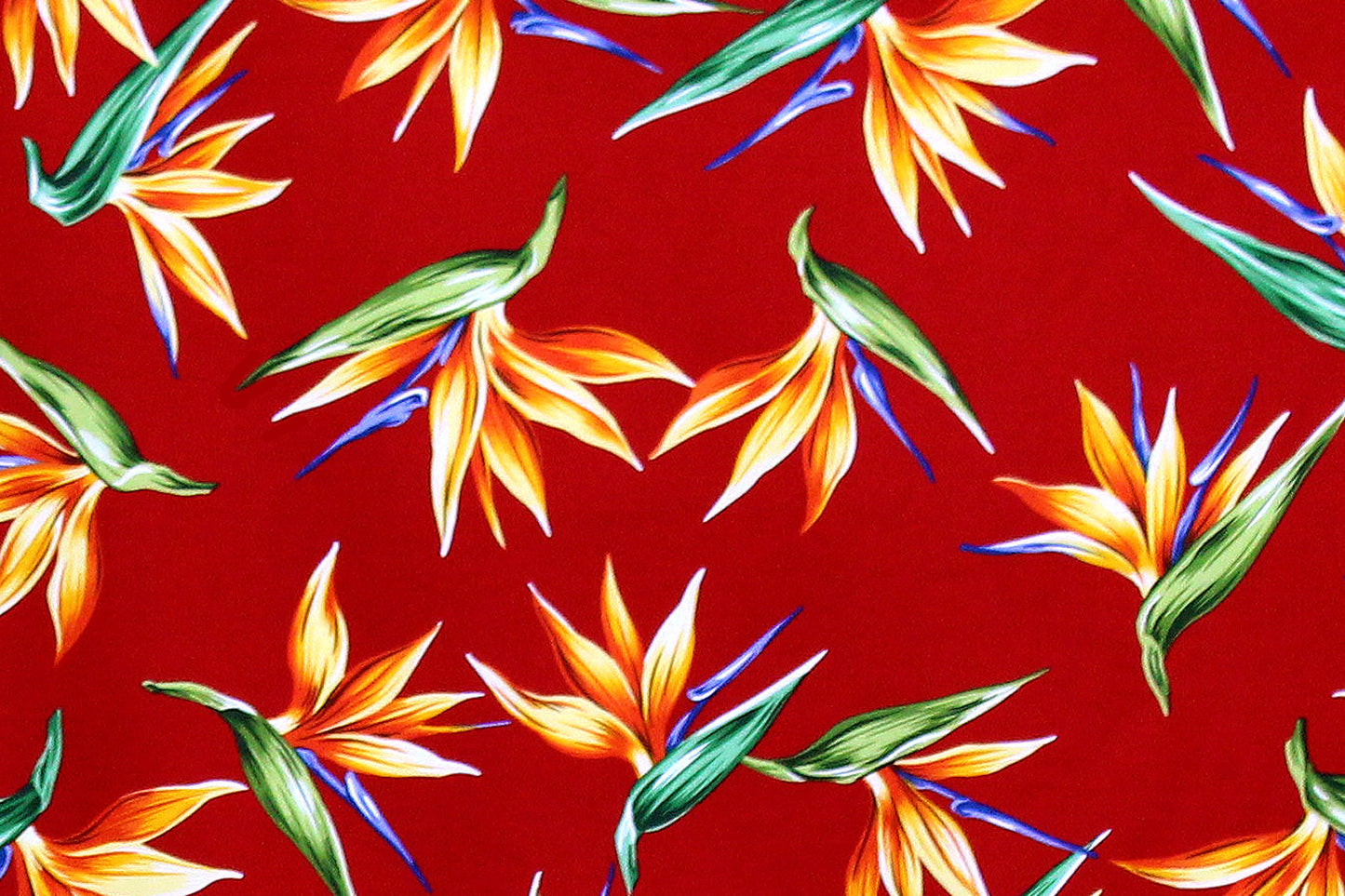 CAA1261 Red