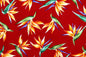 CAA1261 Red