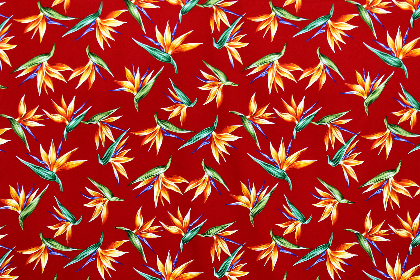 CAA1261 Red