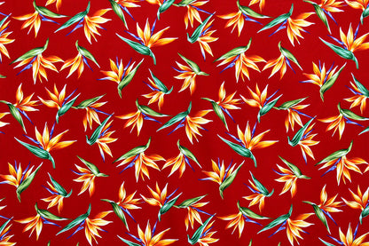 CAA1261 Red