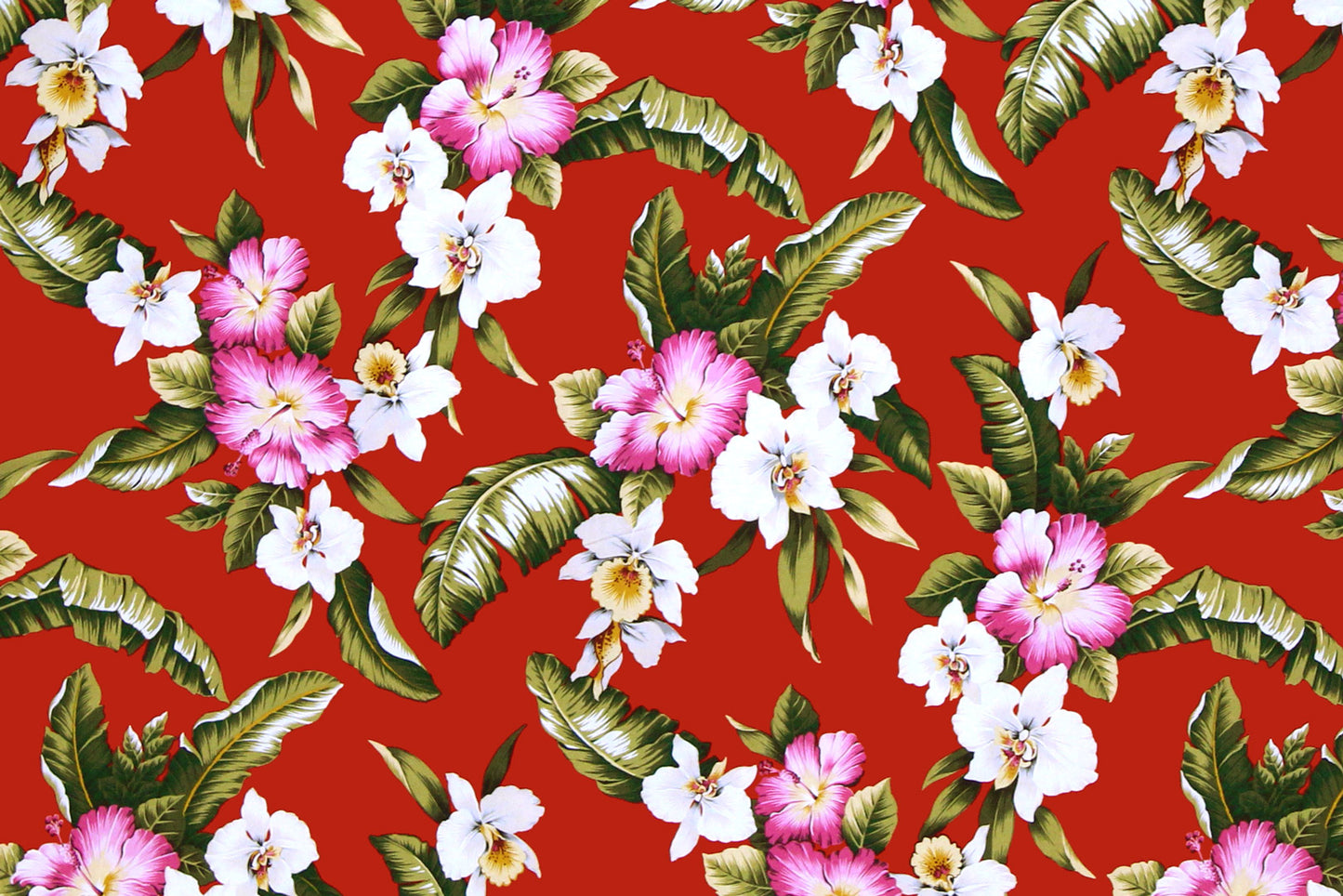 CAA1249 Red