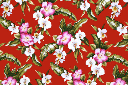 CAA1249 Red