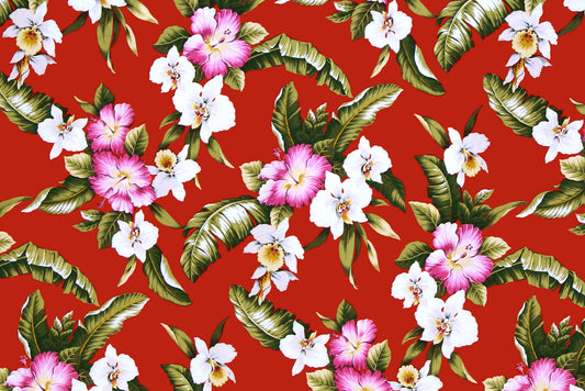 CAA1249 Red
