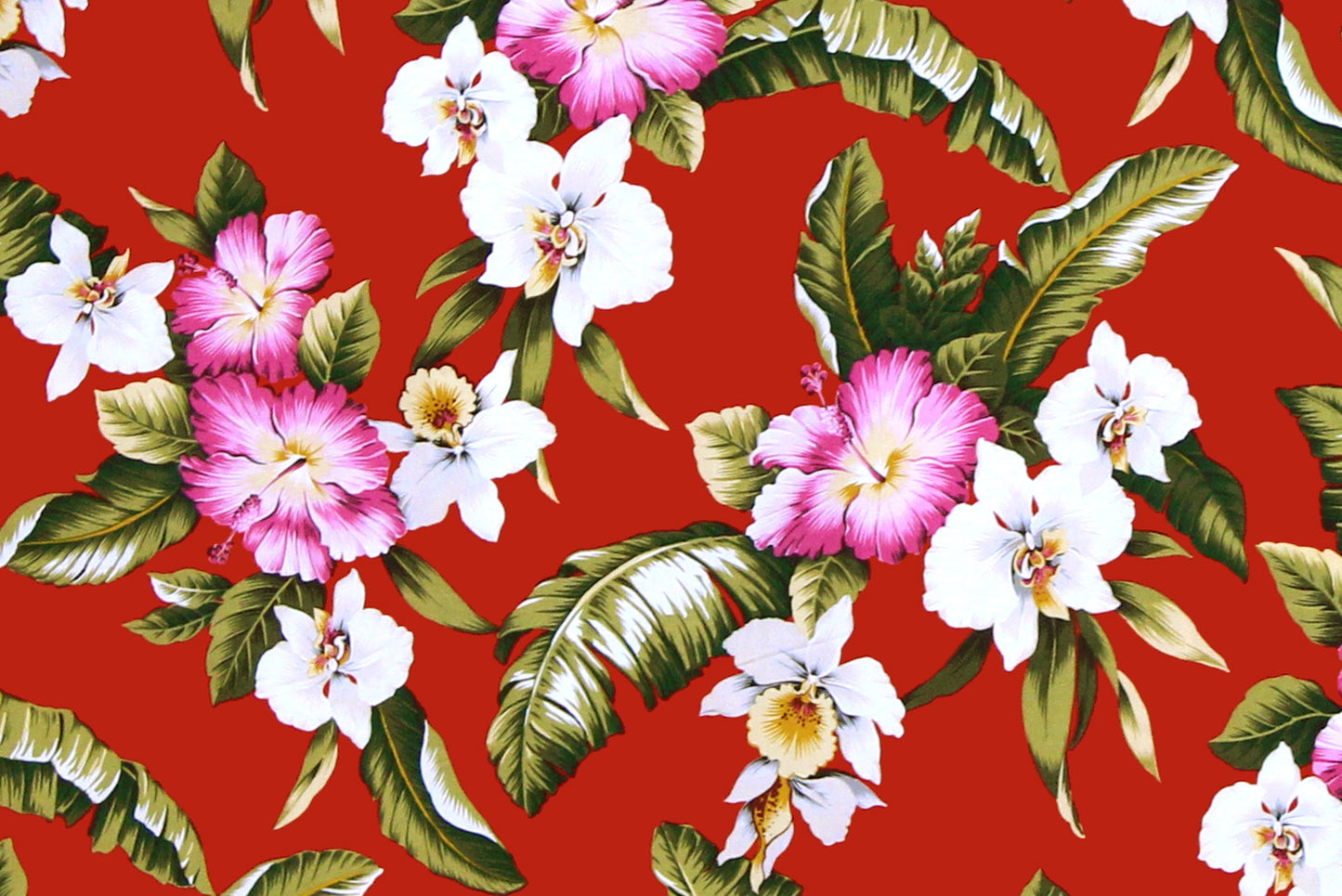 CAA1249 Red