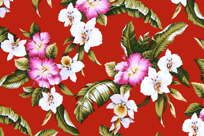 CAA1249 Red