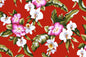 CAA1249 Red