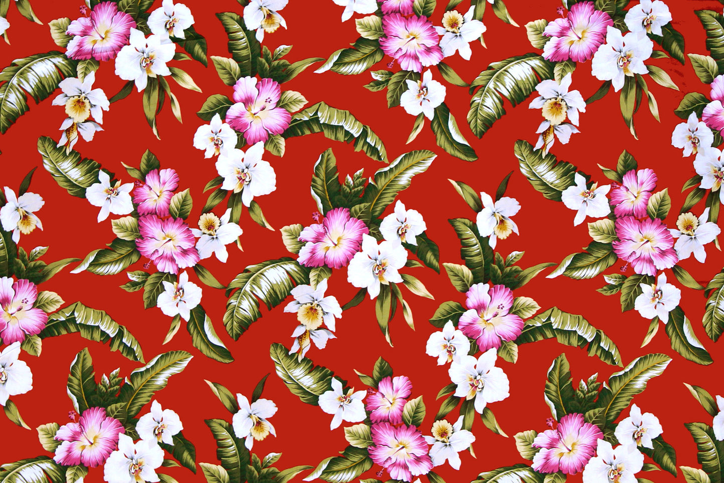 CAA1249 Red