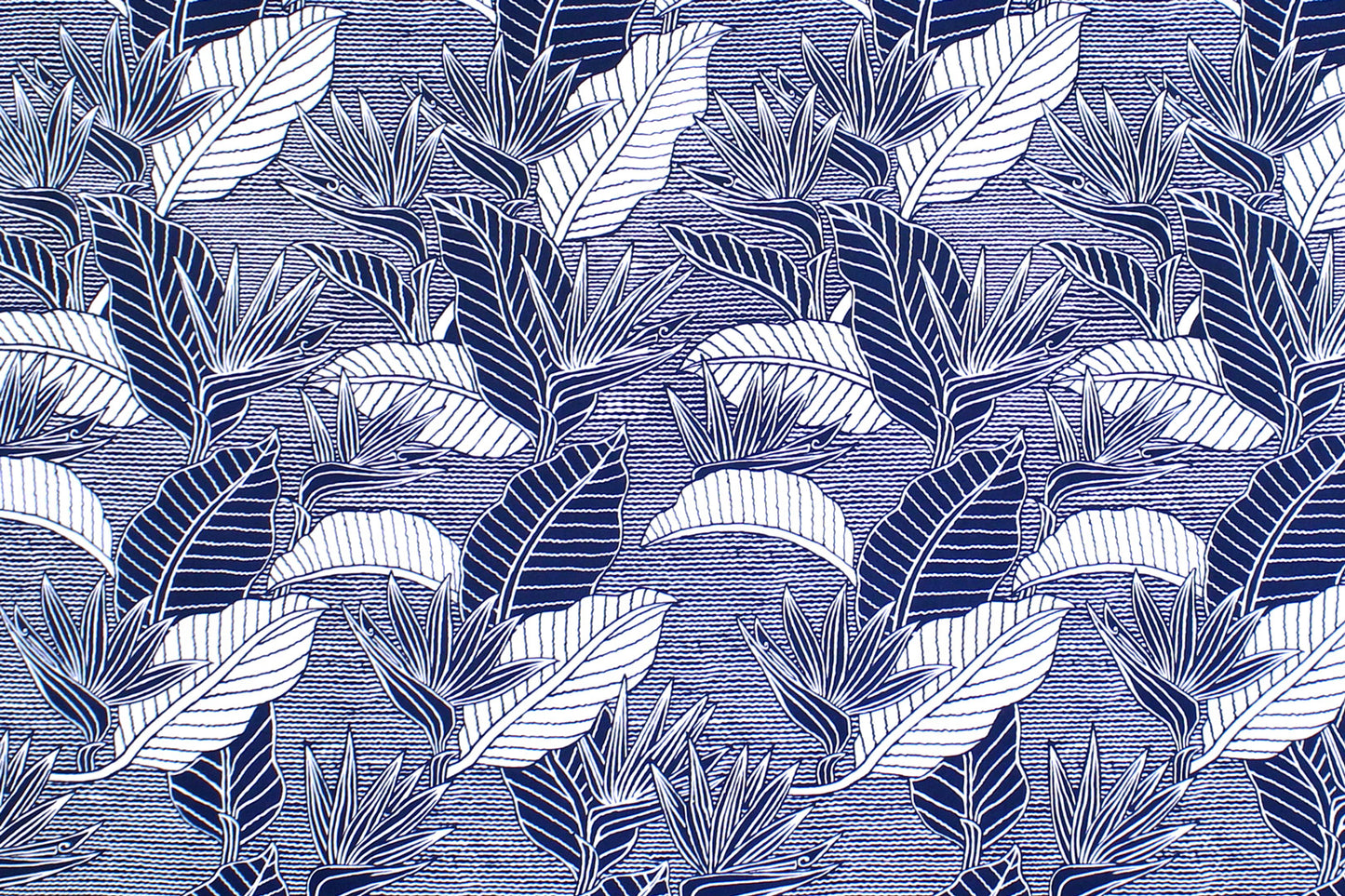 CAA1269 Navy