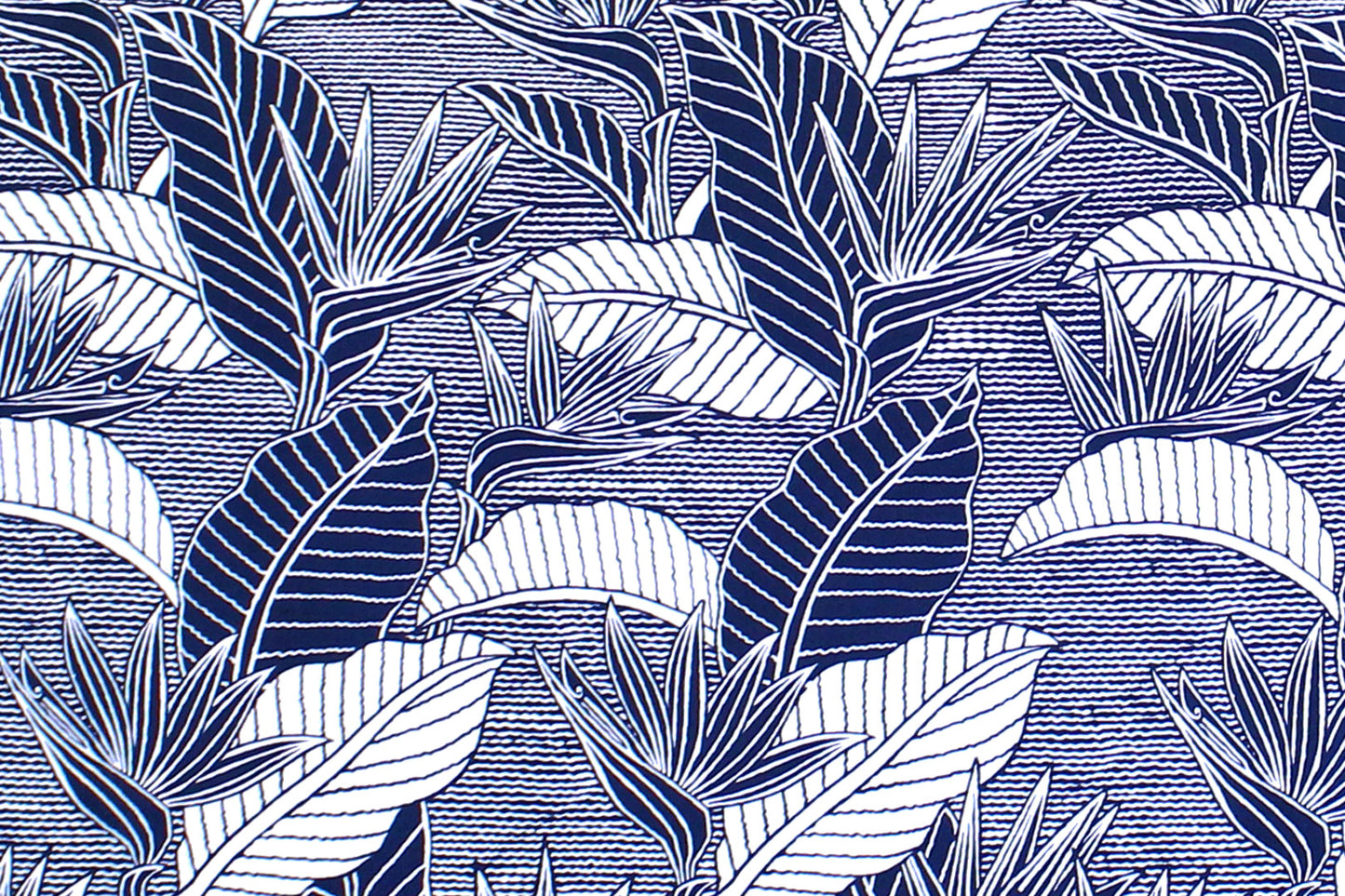 CAA1269 Navy