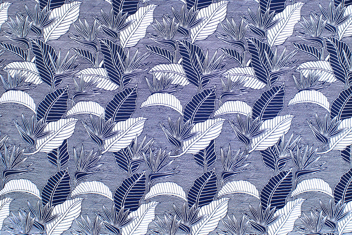 CAA1269 Navy