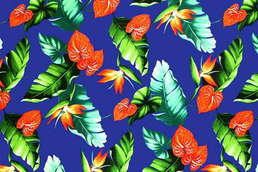 CAA1284 Royal