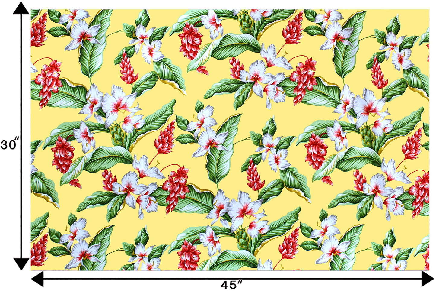 CAA1289 Maize