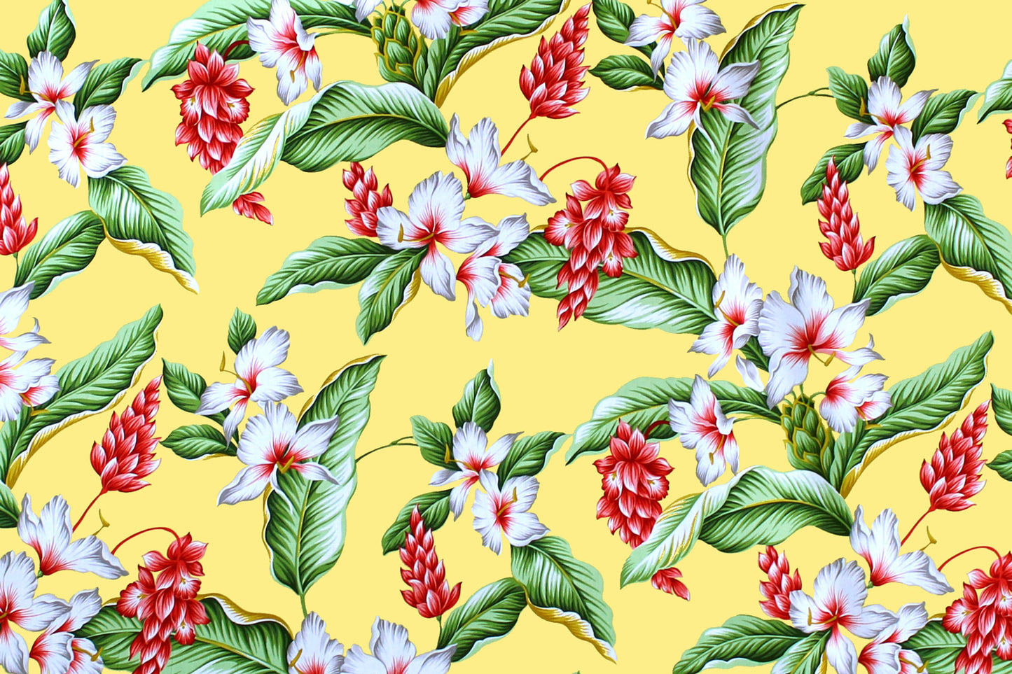 CAA1289 Maize
