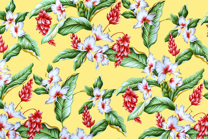 CAA1289 Maize