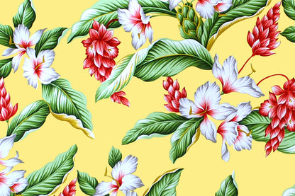 CAA1289 Maize