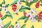 CAA1289 Maize