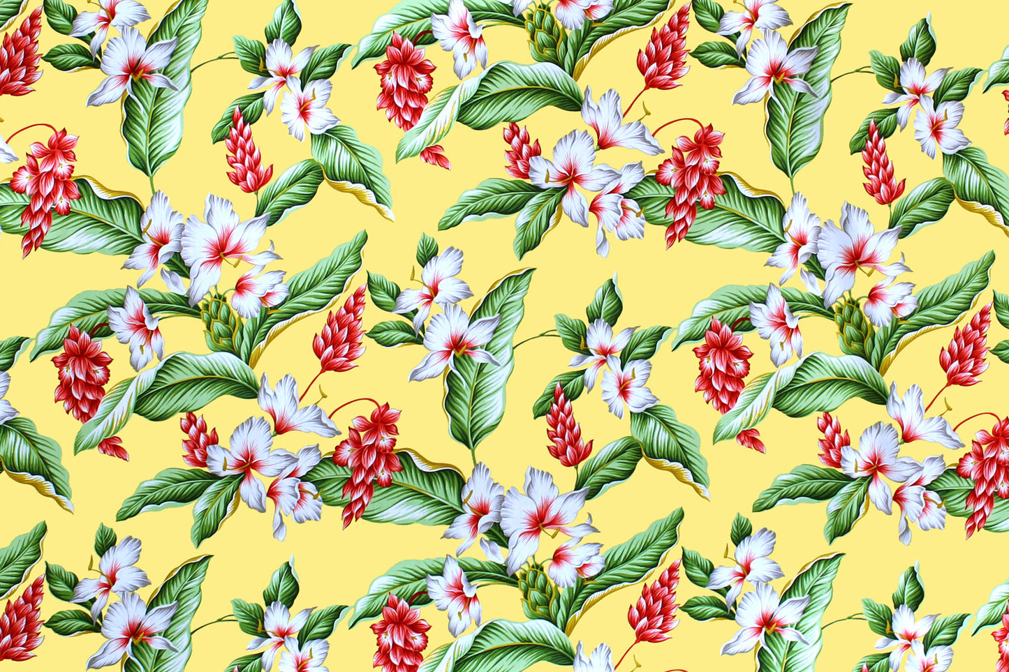 CAA1289 Maize