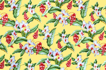 CAA1289 Maize