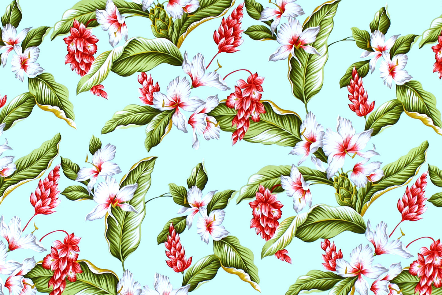 CAA1289 Mint