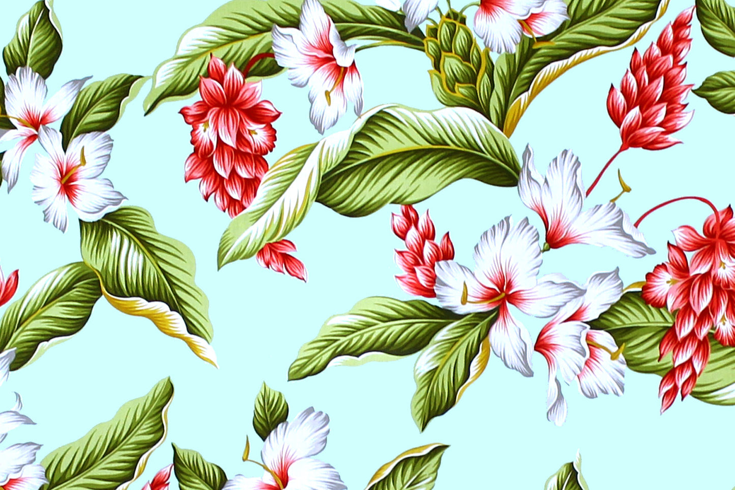 CAA1289 Mint