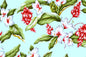 CAA1289 Mint