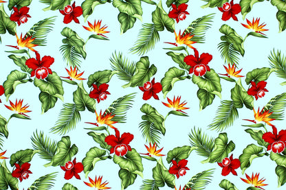 CAA1290 Aqua