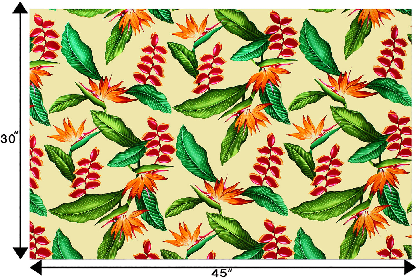 CAA1292 Maize