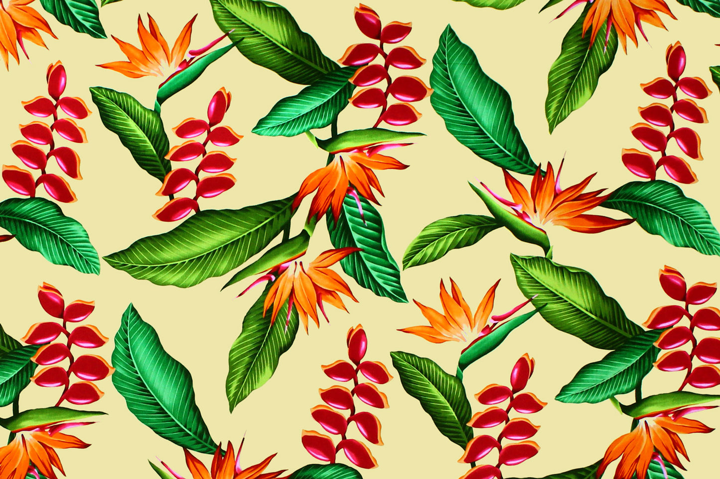 CAA1292 Maize