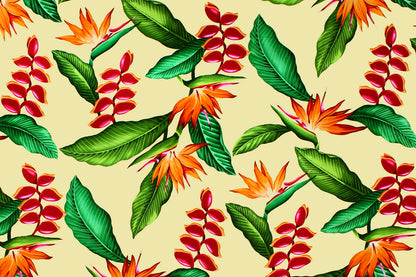 CAA1292 Maize