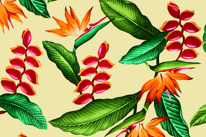 CAA1292 Maize