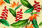 CAA1292 Maize