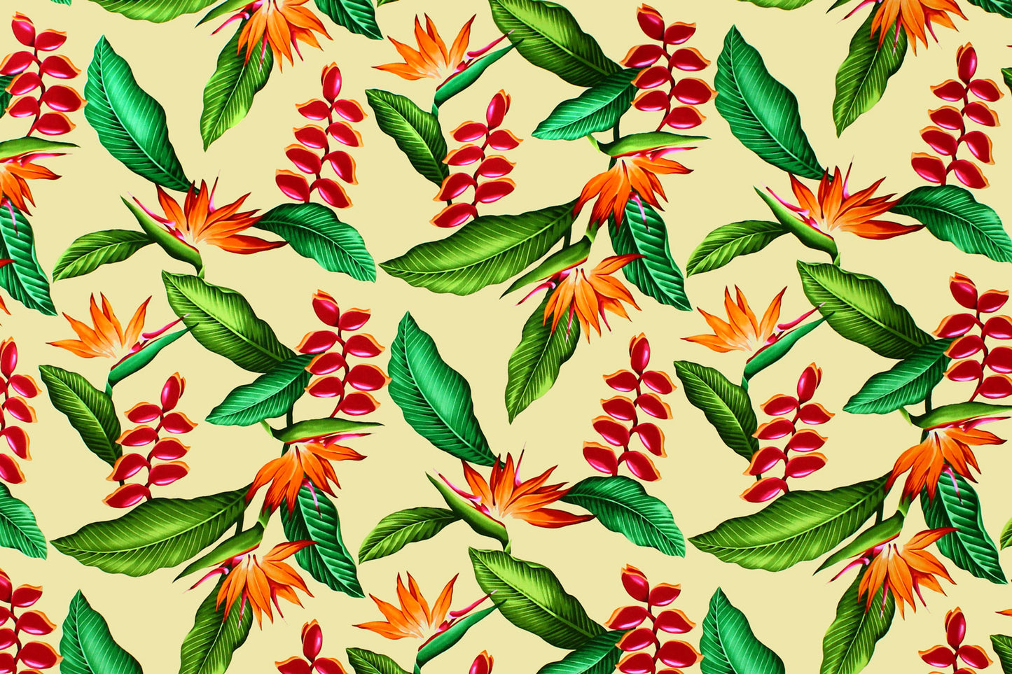 CAA1292 Maize