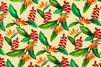 CAA1292 Maize