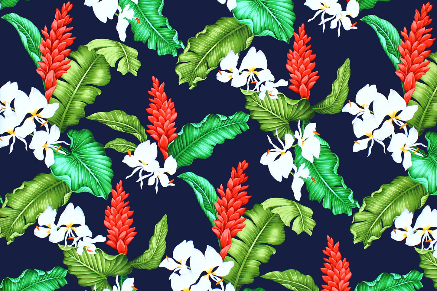 CAA1299 Navy