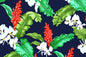 CAA1299 Navy