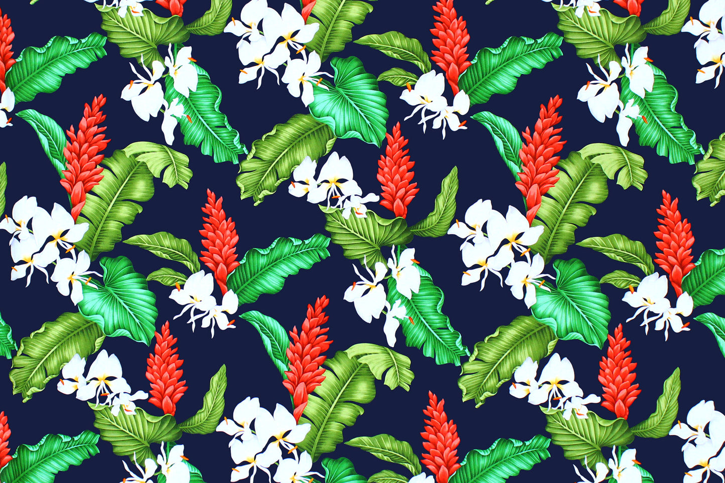 CAA1299 Navy