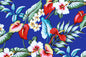 CAA1300 Blue