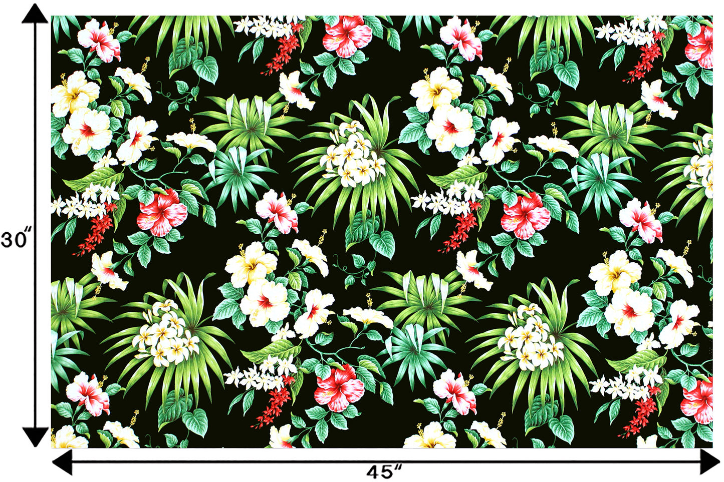 CAA1304 Black