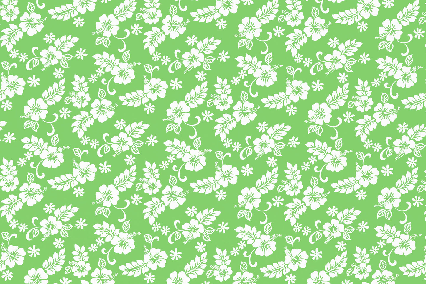 CAA1312 Lime