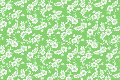 CAA1312 Lime