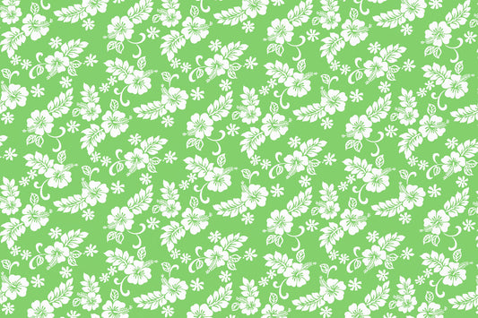 CAA1312 Lime