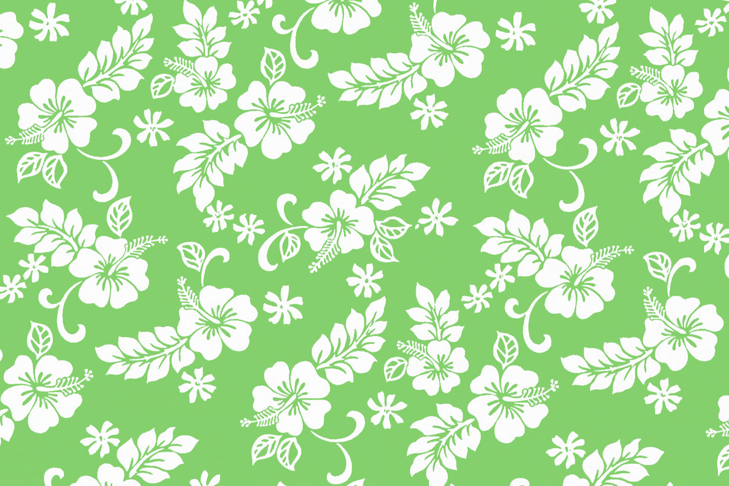 CAA1312 Lime