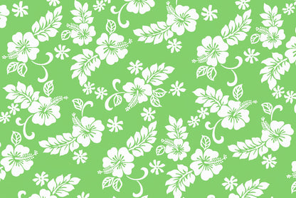 CAA1312 Lime
