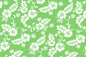 CAA1312 Lime