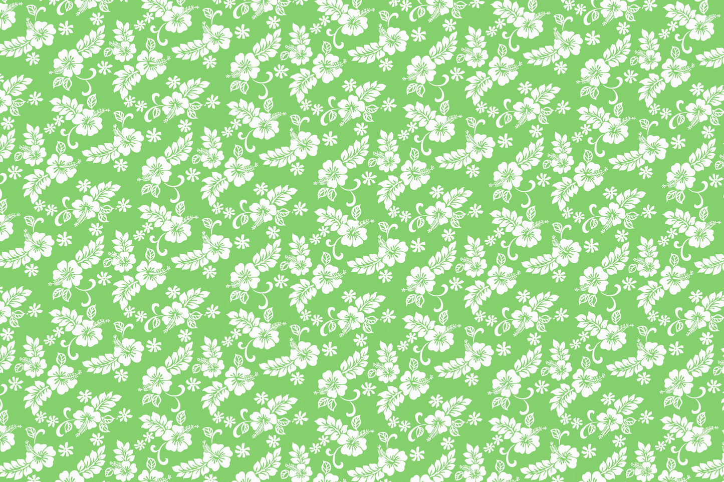 CAA1312 Lime