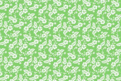 CAA1312 Lime