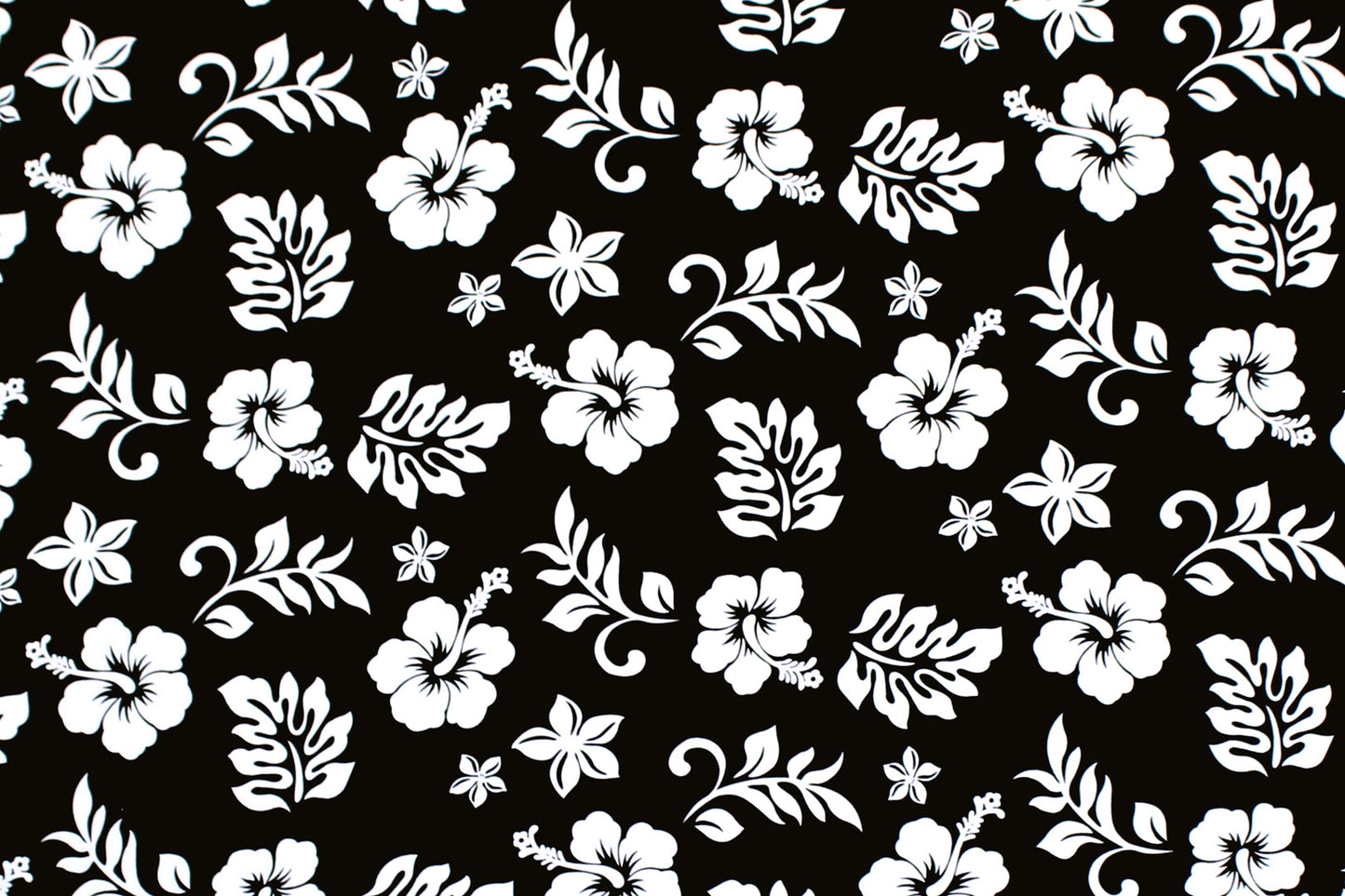 CAA1315 Black